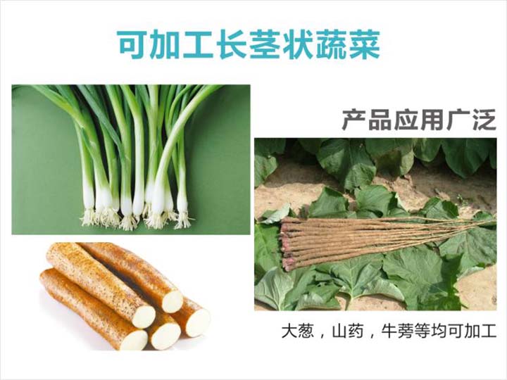 可加工長(zhǎng)莖狀蔬菜
